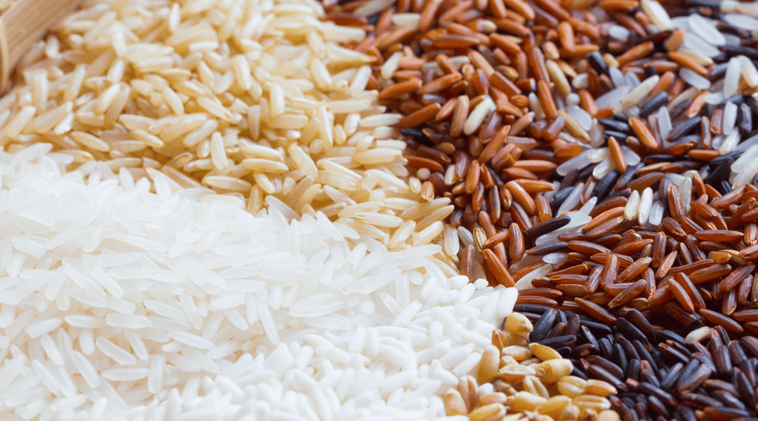 Different types of rice used in Asian cooking