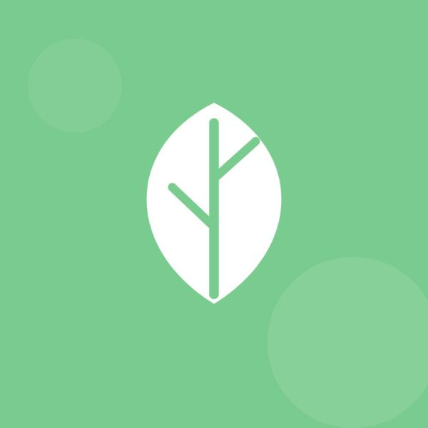 Leaf Icon
